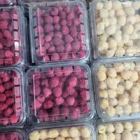 رزبری قرمز درجه ۱ (فریز)|خوردنی و آشامیدنی|تهران, پارک شهر|دیوار