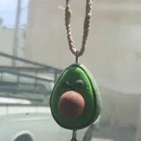 اویز متشین اووکادو
