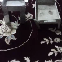 قفسه پرنده و تعدادی وسایل|پرنده|کوهدشت, |دیوار