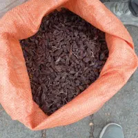 کشمش فخری