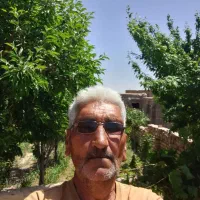 خدمات باغبانی و باغچه در نیشابور