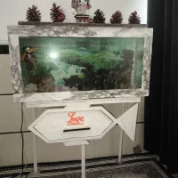 اکواریوم معاوضه باقناری