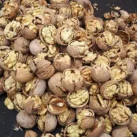انبار خشکبار گردو بادام انجیر تخمه پسته کشمش و|خوردنی و آشامیدنی|اصفهان, رهنان|دیوار