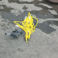 کفتر سبز قلدر