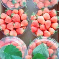 مغازه میدان فاز۲ (میدانبار) میدان بار