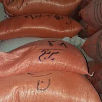 برنج هاشمی تک محصول