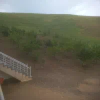 گاوداری|فروش دفتر صنعتی، کشاورزی، تجاری|روانسر, |دیوار