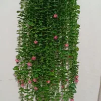 گل شمشاد شاخه ای ۱۵۰