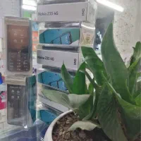 نوکیا 235 اصلی/ صفحه نمایش بزرگ/ شارژر تایپسی|موبایل|تهران, صادقیه|دیوار