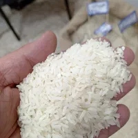 برنج تازه هاشمی روشن اعلا فی 265