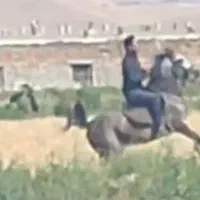 مادیان درجه یک|اسب و تجهیزات اسب‌سواری|کرمانشاه, |دیوار