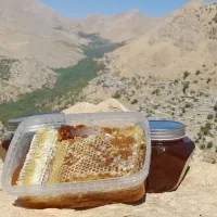 عسل محلی کوردستان سقز(قیمت عمده)300کیلو