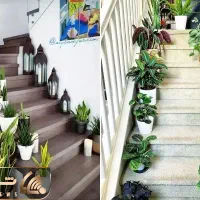 خدمات باغبانی باغچه کاری تعویض خاک گلدون|خدمات باغبانی و درختکاری|تهران, الهیه|دیوار