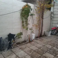 ویلایی|فروش خانه و ویلا|سرپل ذهاب, |دیوار