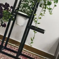 شلف گلدان فلزی|کتابخانه، شلف، قفسه‌های دیواری|سراب, |دیوار