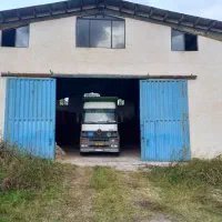 پوست بادام زمینی|خدمات باغبانی و درختکاری|آستانه اشرفیه, |دیوار