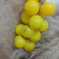 صابون معطر و تزیینی