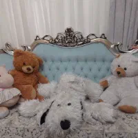عروسک|اسباب‌‌بازی|شیراز, دکتر حسابی|دیوار