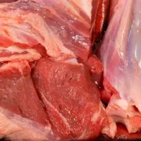 گوشت گوساله گوشت گوسفندی گرم منجمد|خوردنی و آشامیدنی|محمدشهر, محمدشهر|دیوار