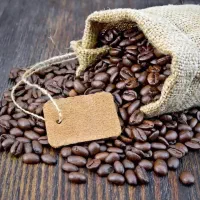 استخدام نیروی تولید محتوا و سئو مسلط به وردپرس