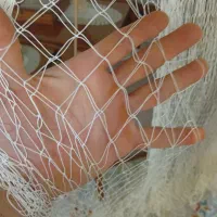 تور ماهیگیری