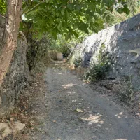 باغ روستای ازغد طرقبه|فروش زمین و ملک کلنگی|مشهد, آزادشهر|دیوار