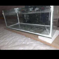 اکواریوم نو معاوضه با عروس هلندی