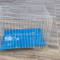 قفس طریقه و عروس هلندی