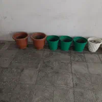 گلدان بزرگ متوسط کوچک|گل و گیاه طبیعی|تهران, بهداشت|دیوار