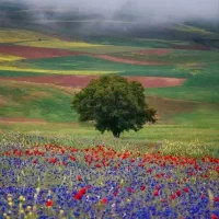 فرصت جذاب سرمایه گذاری