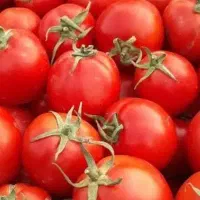 آب گیری گورجه و انگور