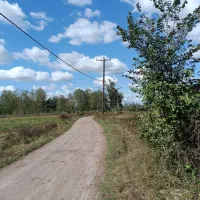 5 هزار متر زمین شالیزار/مکانیزه در لفمجان|فروش دفتر صنعتی، کشاورزی، تجاری|لاهیجان, لفمجان|دیوار