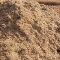 گاه گندم آبی درجه ۱
