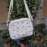 کیف مجلسی نقاشی شده