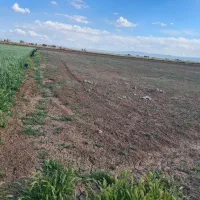 معاوضه زمین با خودرو