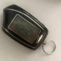 ریموت اصلی چیتا