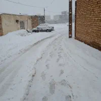 زمین|فروش زمین و ملک کلنگی|مبارکه, |دیوار