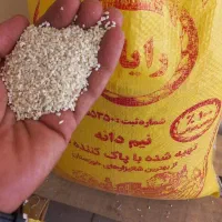 نیمدانه عنبربو خالص ولیزرشده درجه۱