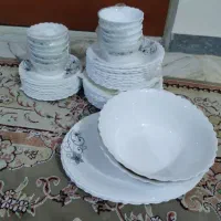ظروف اکرو پال
