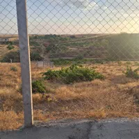 باغ و دامداری|فروش زمین و ملک کلنگی|کرانی, |دیوار