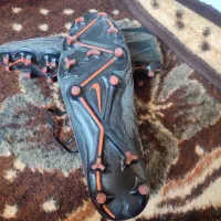 کفش|کیف، کفش، کمربند|سهند, |دیوار