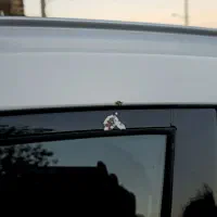 هایما s8|خودرو سواری و وانت|میاندوآب, |دیوار