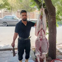 گوسفند زنده و قصاب|حیوانات مزرعه|ساوه, |دیوار