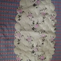 پادری پلاستیکی