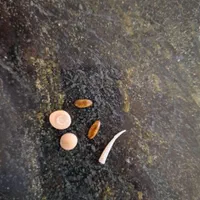 سنگ زیبا قیمتی