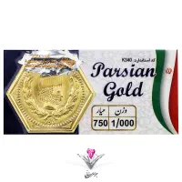 سکه پارسیان