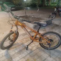 دو عدد دوچرخه