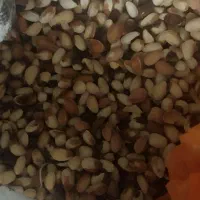خوردنی