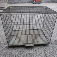 قفس پرنده|لوازم جانبی حیوانات|کرج, حصارک بالا|دیوار