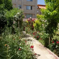 یه آقای جوان مجرد جهت کارمنزل